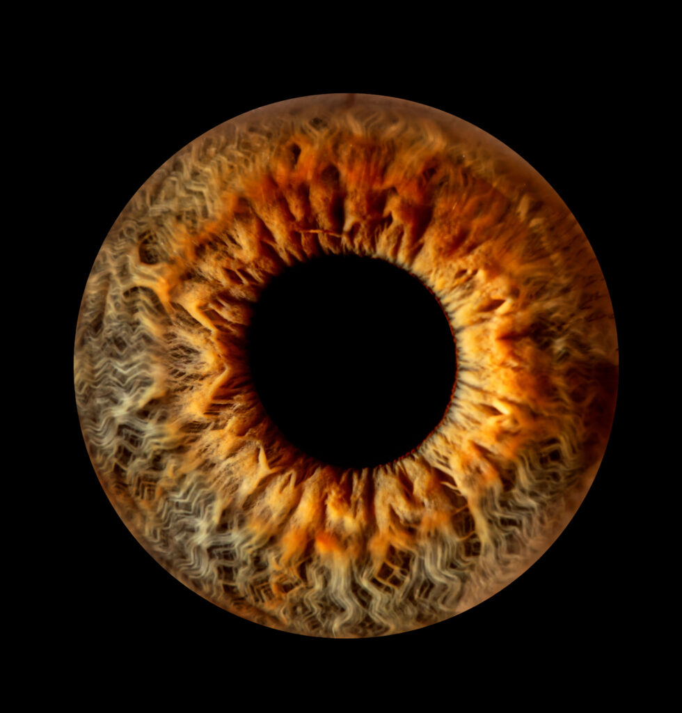 Iris-Fotografie-Coesfeld-Fotograf-Fotostudio
